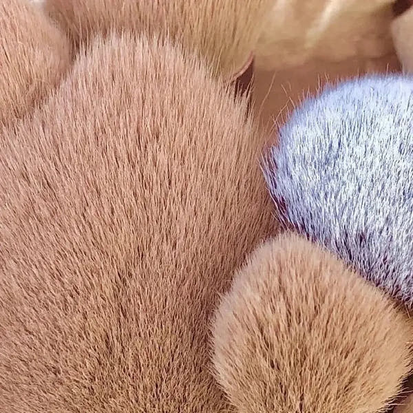 Professionele 13-delige Make-up Borstel Set™